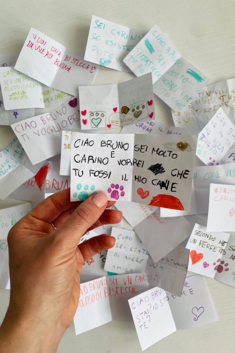 Esempi di elaborati finali degli alunni dopo l'attività di educazione emotiva con la favola di Bruno.